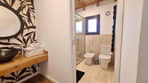 a bathroom with a toilet and a sink and a mirror at Jardin de Estepa Il in Dina Huapi +15 photos