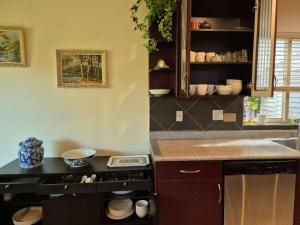 a kitchen with a stove and a counter top at Meadowridge Haven in Maple Ridge +37 photos