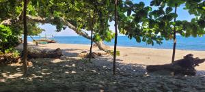 a beach with trees and a boat in the water at Mananambal Beach Huts - Hut 2 in Nagbalaye +20 photos