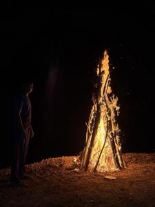 a person standing next to a bonfire at night at Nelli Kale Holiday Resort in Huratgamuwa
