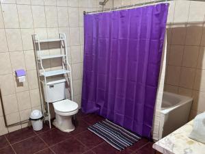 a bathroom with a purple shower curtain and a toilet at Casa Mañío Hostal Castro in Castro