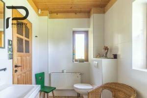 a bathroom with a toilet and a sink and a window at Góralski relaks in Dzianisz +21 photos