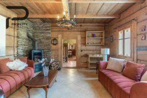 a living room with two couches and a fireplace at Góralski relaks in Dzianisz