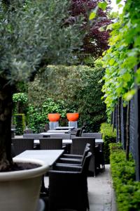 Zahrada ubytování B&B VIENNA