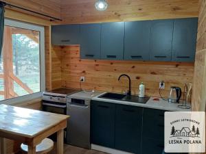 a kitchen with blue cabinets and a sink and a table at Leśna Polana in Zbiczno