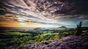 a sunset over a valley with purple flowers on a hill at The Hideout Middlesbrough Great Location in Middlesbrough