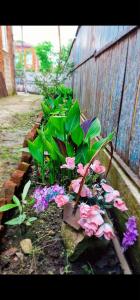 a garden with pink and purple flowers next to a fence at Cozy and Comfortable Apartment in Kutaisi
