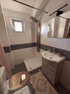 a bathroom with a sink and a toilet and a mirror at Apartment Las 2 in Fanari