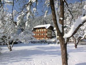 Fotografie z fotogalerie ubytování Gästehaus Struggl v destinaci Steindorf am Ossiacher See