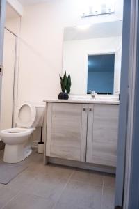 a bathroom with a toilet and a sink and a mirror at Hiltons Villa in Brampton +9 photos