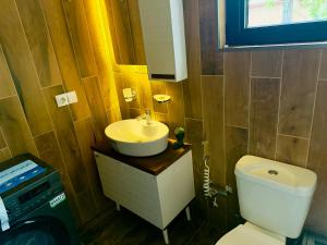 ein kleines Badezimmer mit Waschbecken und Toilette in der Unterkunft Tianuli in Tushurebi