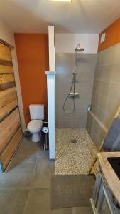 a bathroom with a shower and a toilet in it at La P'tite Brique in Rochefort