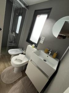 a bathroom with a toilet and a sink and a mirror at Cseresznyés Házikók in Lipót +7 photos