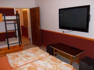 TV a/nebo společenská místnost v ubytování Puszta Hotel
