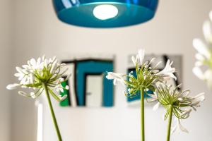 a group of white flowers in a vase under a blue light at Residenza Cavour in Empoli