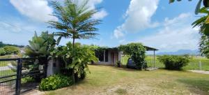 a house with a palm tree in the yard at Rumah Cermin in Langkawi Intl