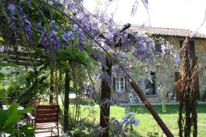 a garden with purple flowering trees and a building at Agriturismo Malvista in San Sebastiano Curone