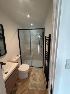 a bathroom with a shower and a toilet and a sink at kingsize Little Home in Stamford