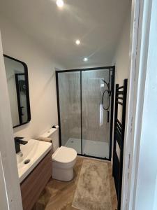 a bathroom with a shower and a toilet and a sink at kingsize Little Home in Stamford