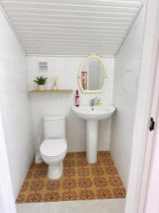 a bathroom with a toilet and a sink at Chkalovka Guest House With Sevan View in Sevan +118 photos