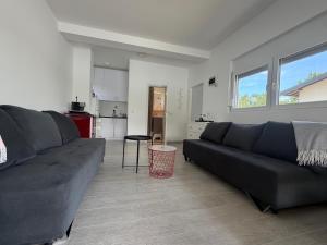 a living room with a black couch and a kitchen at Apartman na Drini in Loznica +25 photos