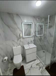 a bathroom with a toilet and a sink and a shower at Ametist in Mukacheve