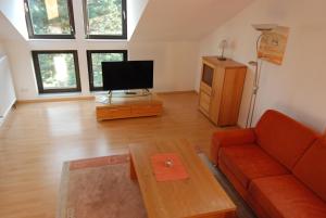 a living room with a couch and a tv at Ferienwohnungen Fliegerstrasse in Gersfeld