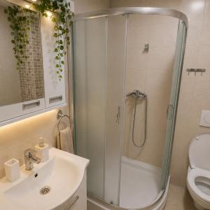 a bathroom with a shower and a sink and a toilet at Apartman Centar Paracin in Paraćin