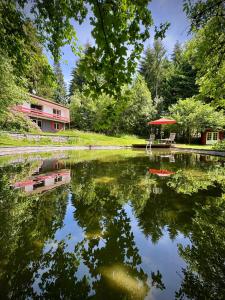 a reflection of a building in a pond with trees at Alpenblick-Hotzenwald in Rickenbach