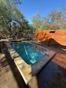 a swimming pool in the middle of a yard at Bush and Gables in Marloth Park