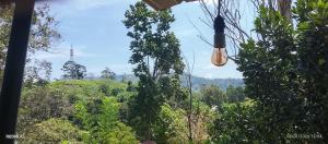 a view of the jungle from a tree house at Gotrika Valley Gesst in Ella