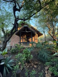 a house with a thatched roof in a garden at Bush and Gables in Marloth Park