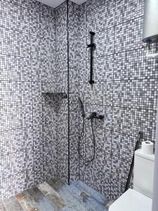 a bathroom with a shower with a toilet in it at Kobuleti Lounge in Kobuleti +33 photos