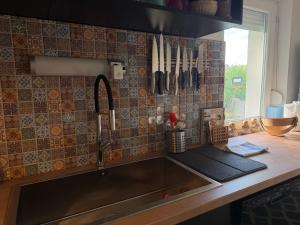 a kitchen with a stainless steel sink and a counter at Orfű Hillside in Orfű +10 photos