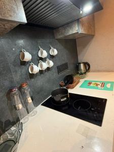 a kitchen with a stove and cups on the wall at THE MOONLIGHT STUDIo in Ghaziabad