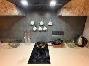 a kitchen counter with a stove and tea pots on the wall at THE MOONLIGHT STUDIo in Ghaziabad