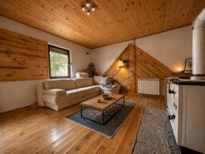 a living room with a couch and a table at Biocinovici vikendica in Kolašin