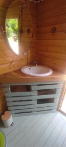 a bathroom with a sink and a mirror in a cabin at Le cocon de Lili et de Patrick in Draveil