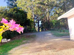 a driveway with pink flowers on the side of a house at Wisteria Hideaway in Coffs Harbour +33 photos