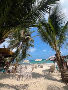 a beach with chairs and palm trees and the ocean at Benny monkey house in Rayong