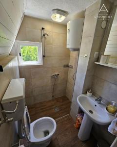 a small bathroom with a toilet and a sink at Koliba BUKOVICA in Šavnik +32 photos