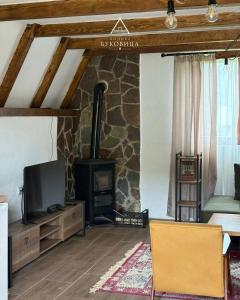 a living room with a fireplace and a stove at Koliba BUKOVICA in Šavnik