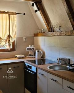 a kitchen with a sink and a counter top at Koliba BUKOVICA in Šavnik