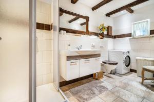 a bathroom with a shower and a sink and a toilet at Landsitz Blankensee in Blankensee +35 photos