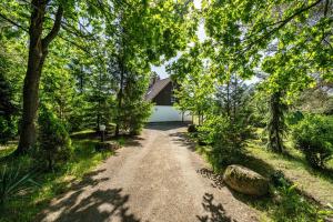 a dirt road leading to a house with trees at Landsitz Blankensee in Blankensee