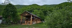 a small cabin in the middle of a mountain at Садиба-дім Эдем Карпат in Krasna