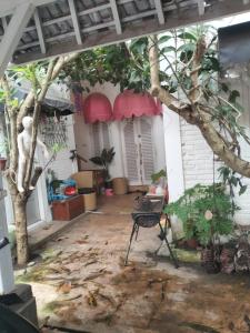 a patio of a house with a tree and a chair at Gandasari homestay banyuwangi in Banyuwangi