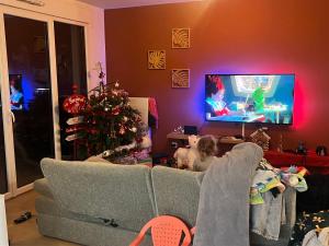 a living room with a christmas tree and a tv at L'instant coloc in Oullins