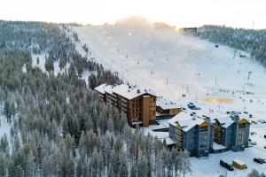 a ski resort with a ski slope in the snow at Le Chalet Lingonberry D3 Ski-in Ski-out, Hot Tub by Aavalevi in Levi