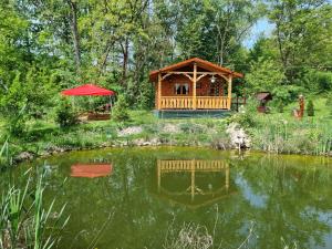 a gazebo in the middle of a pond at La căsuța din poveste in Pătîrlagele +27 photos